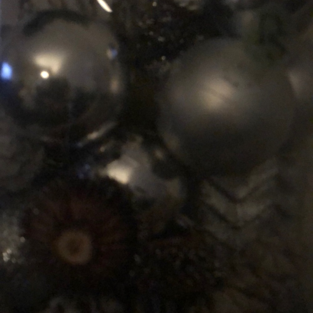 Meet your Posher, Bicky